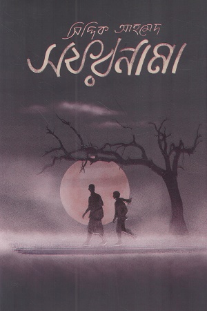 সফরনামা