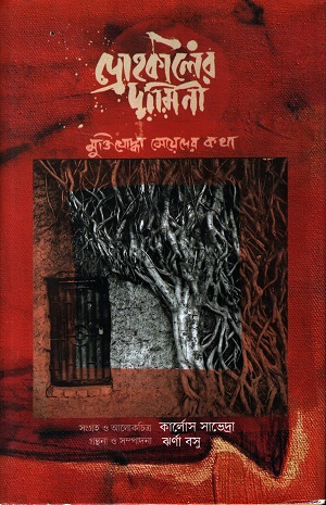 দ্রোহকালের দামিনী (মুক্তিযোদ্ধা মেয়েদের কথা)