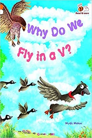 Why Do we Fly in a V?