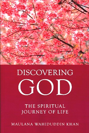 DISCOVERING GOD
