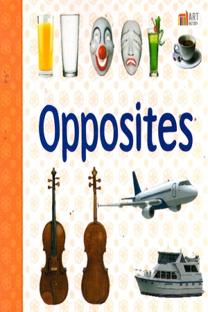 Baby Board Book: Opposites