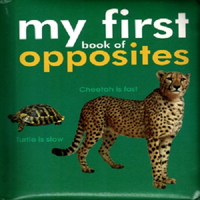 My First Book of Opposites