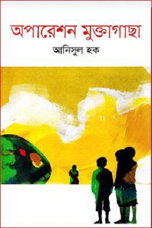 অপারেশন মুক্তাগাছা