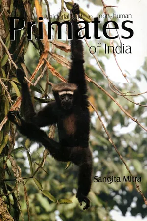 A pictorial guide to non-human primates of india