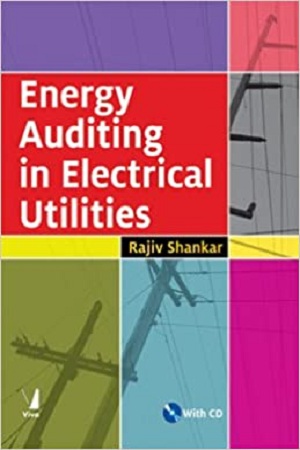 Energy Auditing in Electrical Utilities