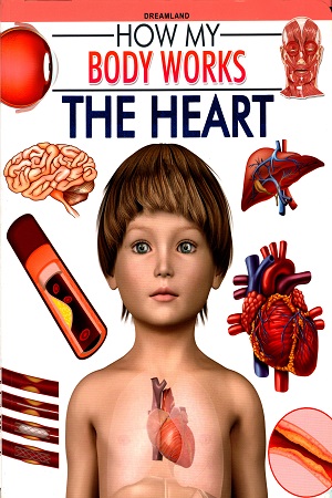 How My Body Works: The Heart