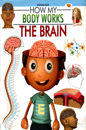 How My Body Works: The Brain