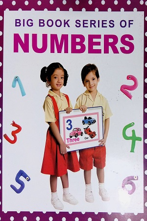 BIG BOOK SERIES OF NUMBERS
