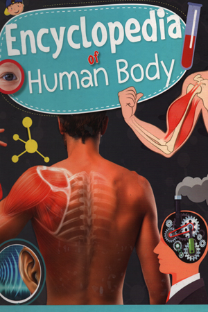 Knowledge Encyclopedia Human Body