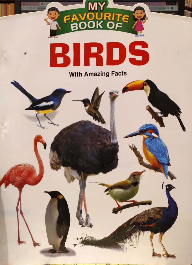 My Favourite Book Of Birds