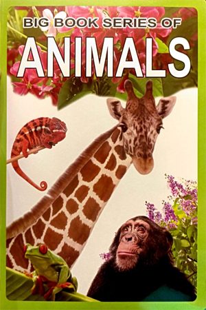 BIG BOOK SERIES OF ANIMALS