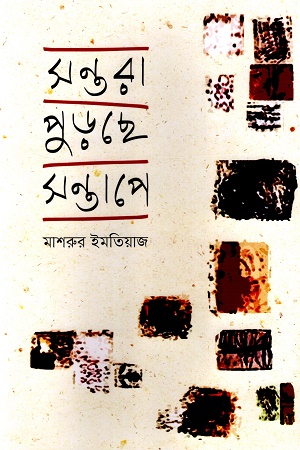 সন্তরা পুড়েছে সন্তাপে