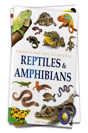 Reptiles & Amphibians