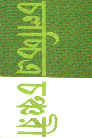 [9789394205949] চলচ্চিত্র চঞ্চরী