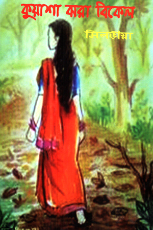 [9789849818106] কুয়াশা ঝরা বিকেল