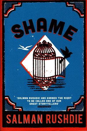 [9780099578611] Shame