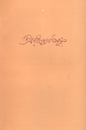 [9788175223196] ছিন্নপত্রাবলী