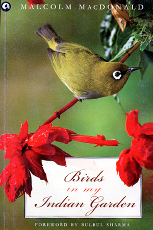 [9789384067403] Birds in my indian garden