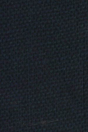 [6310100000003] Mughal Relations With The Indian Ruling Elite