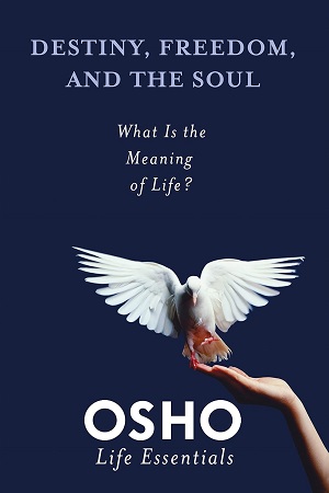 [9780312595432] Destiny, Freedom and the Soul: What is the Meaning of Life?