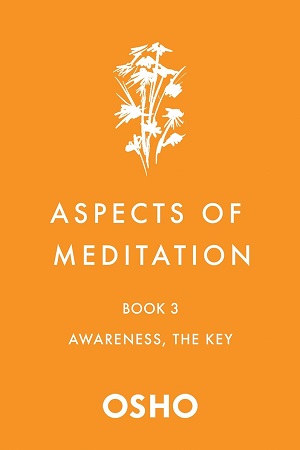 [9781250786463] Aspects of Meditation Book 3